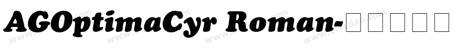 AGOptimaCyr Roman字体转换